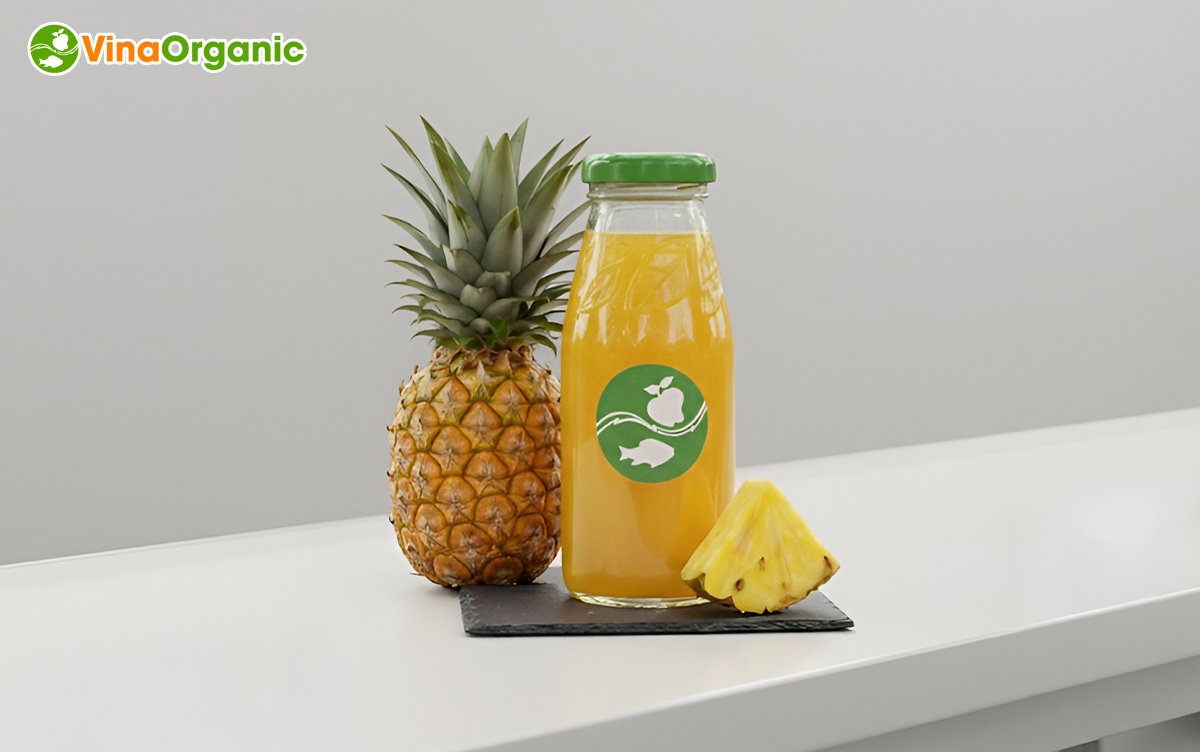 VinaOrganic chuyển giao công nghệ nước ép dứa cô đặc chân không giữ nguyên màu, hương vị, dinh dưỡng. Liên hệ Hotline/Zalo 0938299798 – 0975299798