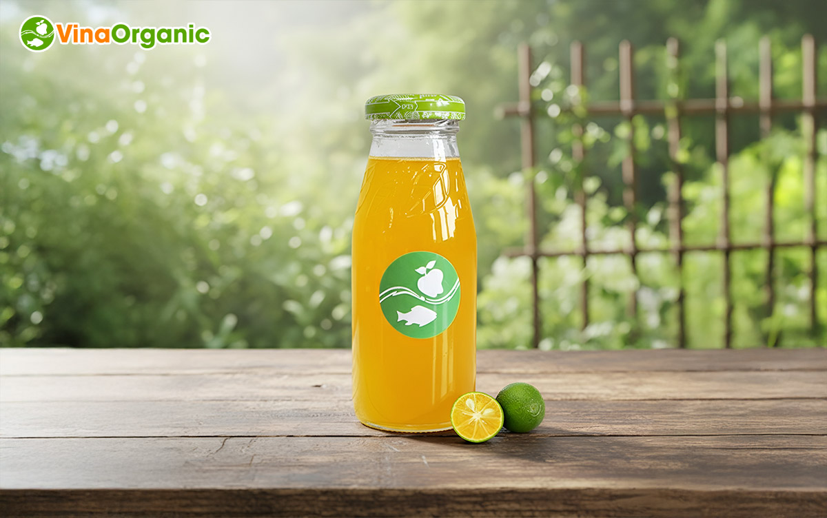 VinaOrganic chuyển giao công nghệ nước ép tắc cô đặc chân không giữ nguyên màu, hương vị, dinh dưỡng. Liên hệ Hotline/Zalo 0938299798 – 0975299798