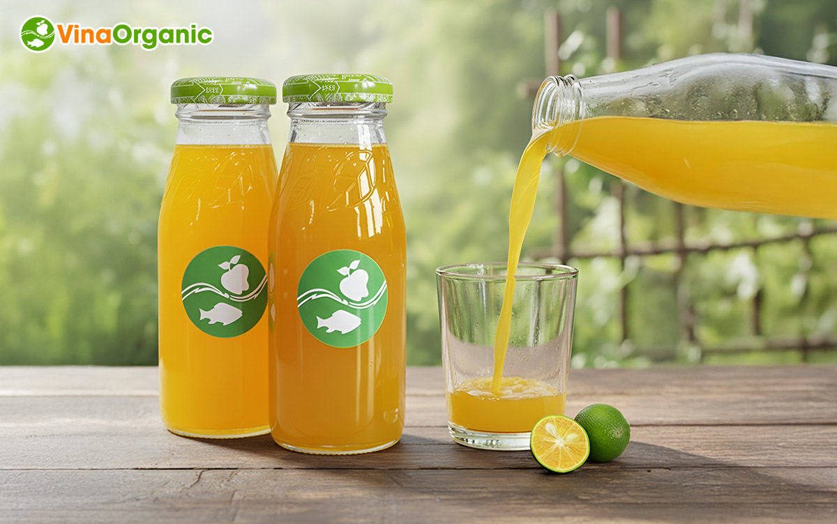 VinaOrganic chuyển giao công nghệ nước ép tắc cô đặc chân không giữ nguyên màu, hương vị, dinh dưỡng. Liên hệ Hotline/Zalo 0938299798 – 0975299798