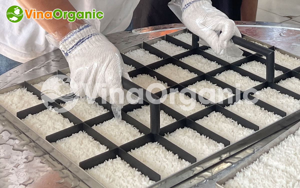 HB1646 - Máy nấu cơm cháy tạo hình trên khay Habavi 16 khay chuyên dụng cho hấp cơm làm cơm cháy chà bông... Hotline/Zalo: 0938299798 – 0975299798