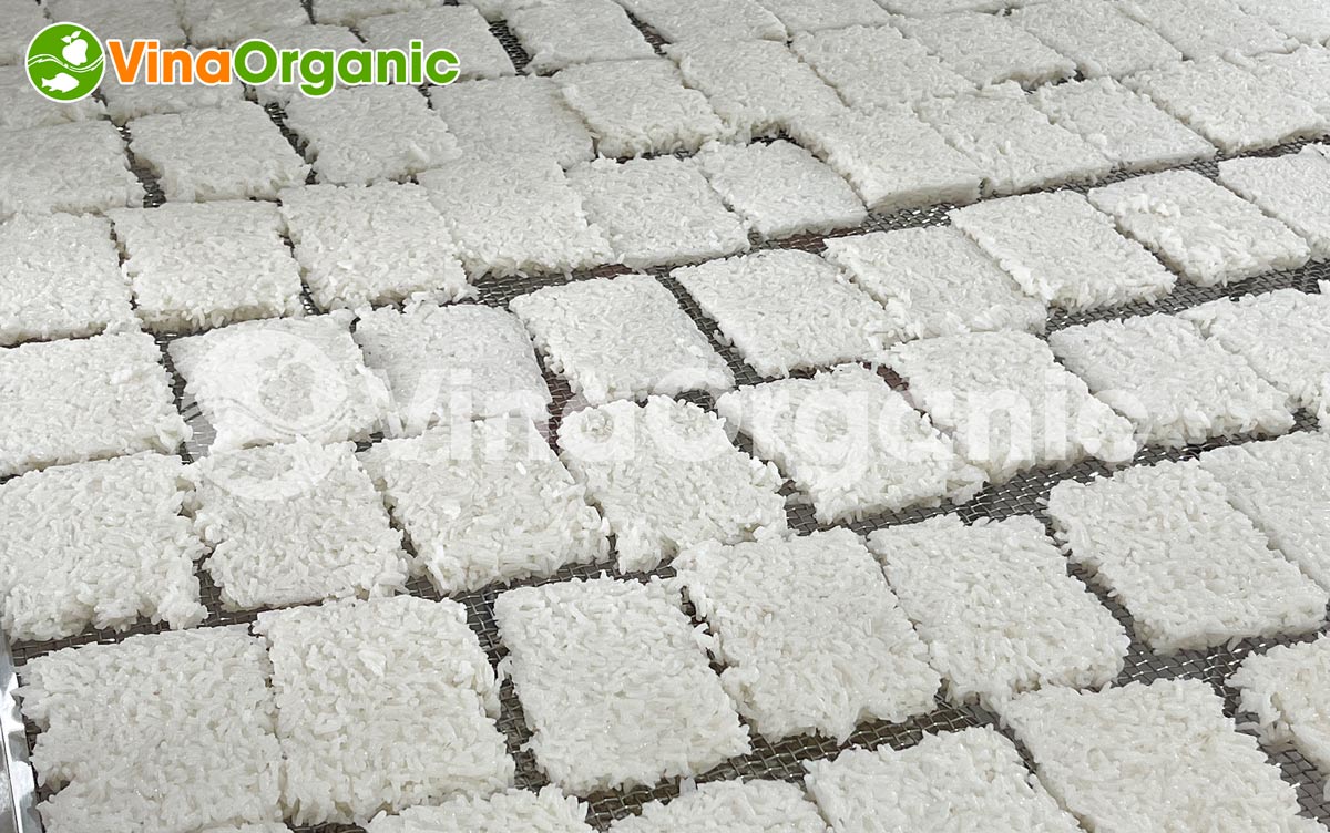 HB1646 - Máy nấu cơm cháy tạo hình trên khay Habavi 16 khay chuyên dụng cho hấp cơm làm cơm cháy chà bông... Hotline/Zalo: 0938299798 – 0975299798