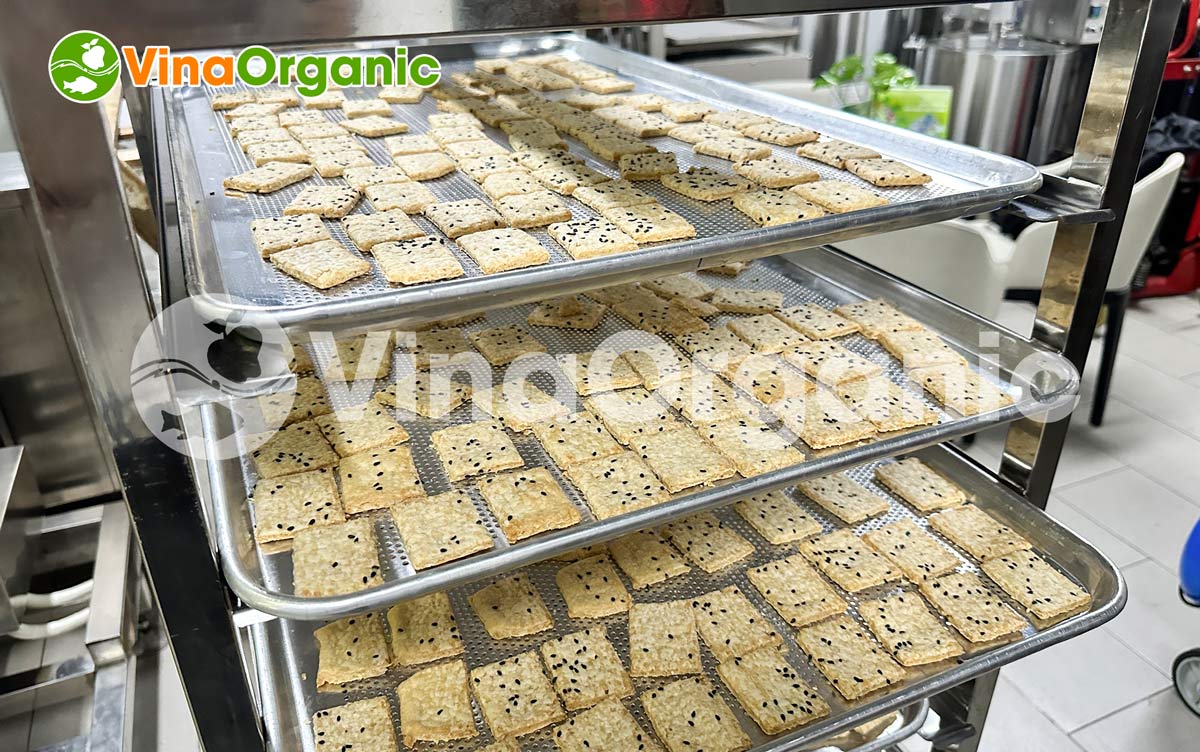 LN012X - Lò nướng bánh 12 khay, nướng bánh mì, bánh mầm gạo lứt nhanh chóng, chất lượng. Liên hệ Hotline/Zalo 0938299798 - 0975299798.