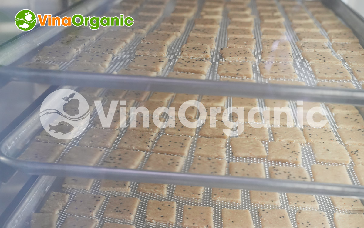 LN012X - Lò nướng bánh 12 khay, nướng bánh mì, bánh mầm gạo lứt nhanh chóng, chất lượng. Liên hệ Hotline/Zalo 0938299798 - 0975299798.