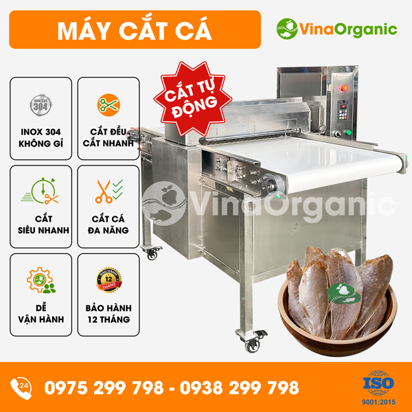 MCC20 - Máy cắt cá băng tải tự động, cắt nhanh chóng, chất lượng
