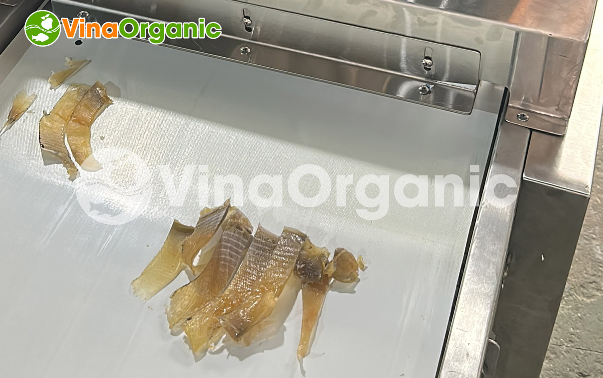 MCC20 - Máy cắt cá băng tải tự động, cắt cá nhanh chóng, chất lượng. Liên hệ ngay Hotline/Zalo: 0975.299798 – 0938.299798 để được tư vấn chi tiết!