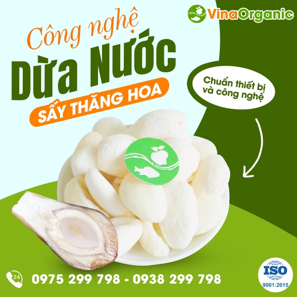 Chuyển giao công nghệ dừa nước sấy thăng hoa giòn xốp