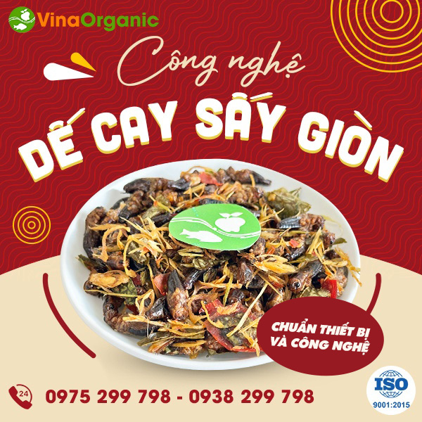 Chuyển giao công nghệ dế sấy cay giòn mới lạ, độc đáo và giàu dinh dưỡng