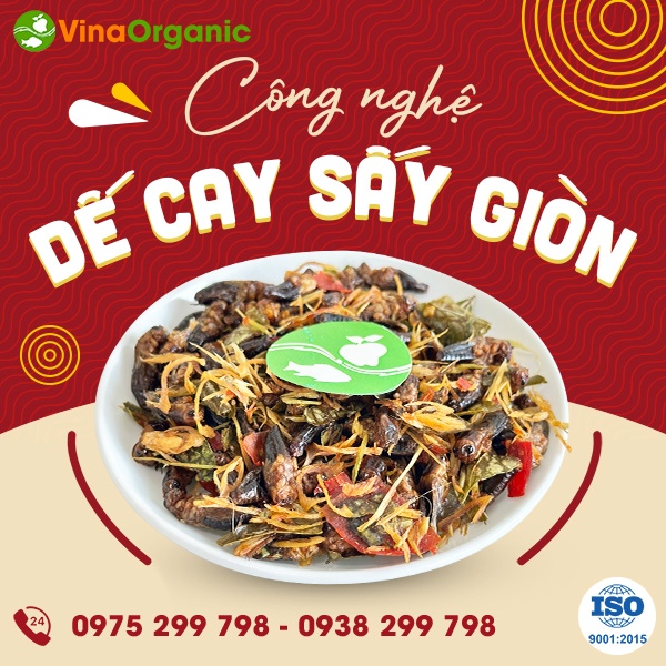 Chuyển giao công nghệ dế sấy cay giòn mới lạ, độc đáo và giàu dinh dưỡng
