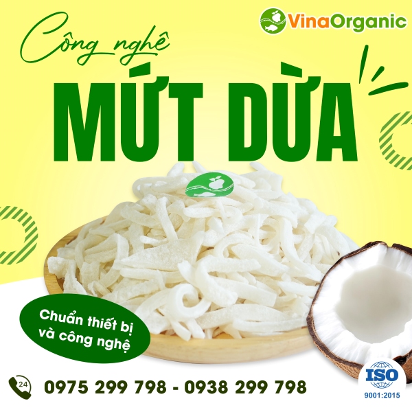 Chuyển giao công nghệ Mứt dừa mềm dẻo, ngọt dịu, không khô cứng