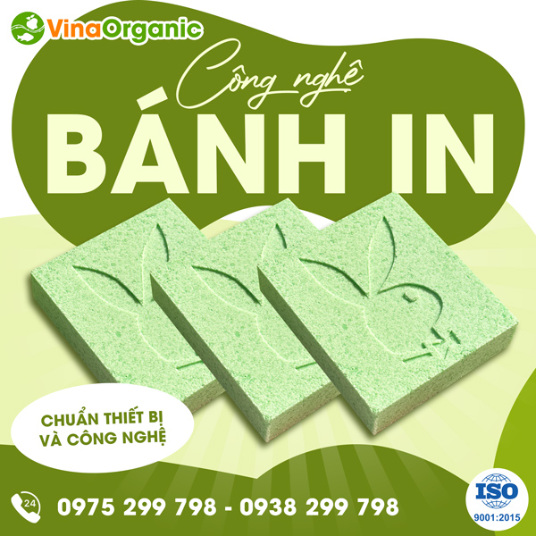 Chuyển giao công nghệ Bánh in xốp mềm, đậm vị truyền thống